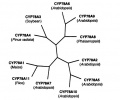 Thumbnail for version as of 03:03, 7 June 2014