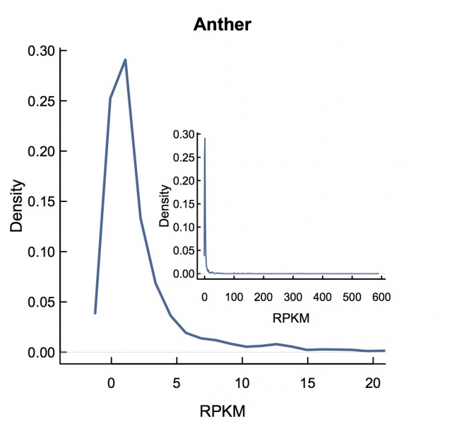 File:Anther.rpkm.jpg