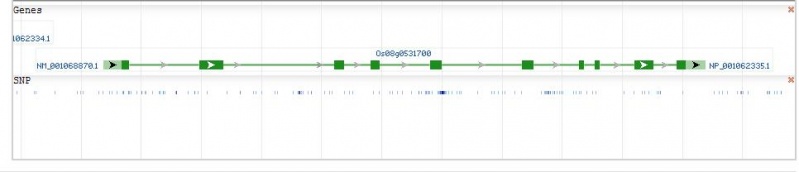 File:Genomic context2.jpg
