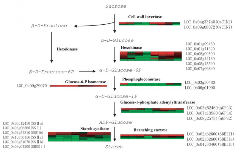 File:RNA-Seq-2016-27029818-3.png