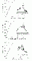 Thumbnail for version as of 07:04, 7 June 2014