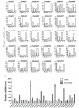 Thumbnail for version as of 06:34, 19 May 2014