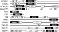 Thumbnail for version as of 03:20, 30 May 2014