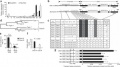 Thumbnail for version as of 01:41, 28 May 2014