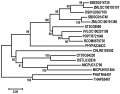 Thumbnail for version as of 15:06, 7 May 2014