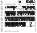 Thumbnail for version as of 16:50, 7 June 2014