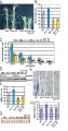 Thumbnail for version as of 12:53, 8 June 2014
