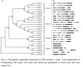 Thumbnail for version as of 08:58, 9 May 2014
