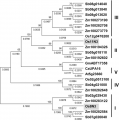 Thumbnail for version as of 13:45, 10 June 2014