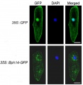 Thumbnail for version as of 07:47, 25 May 2014