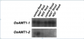Thumbnail for version as of 15:12, 9 June 2014
