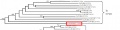 Thumbnail for version as of 09:28, 9 June 2014