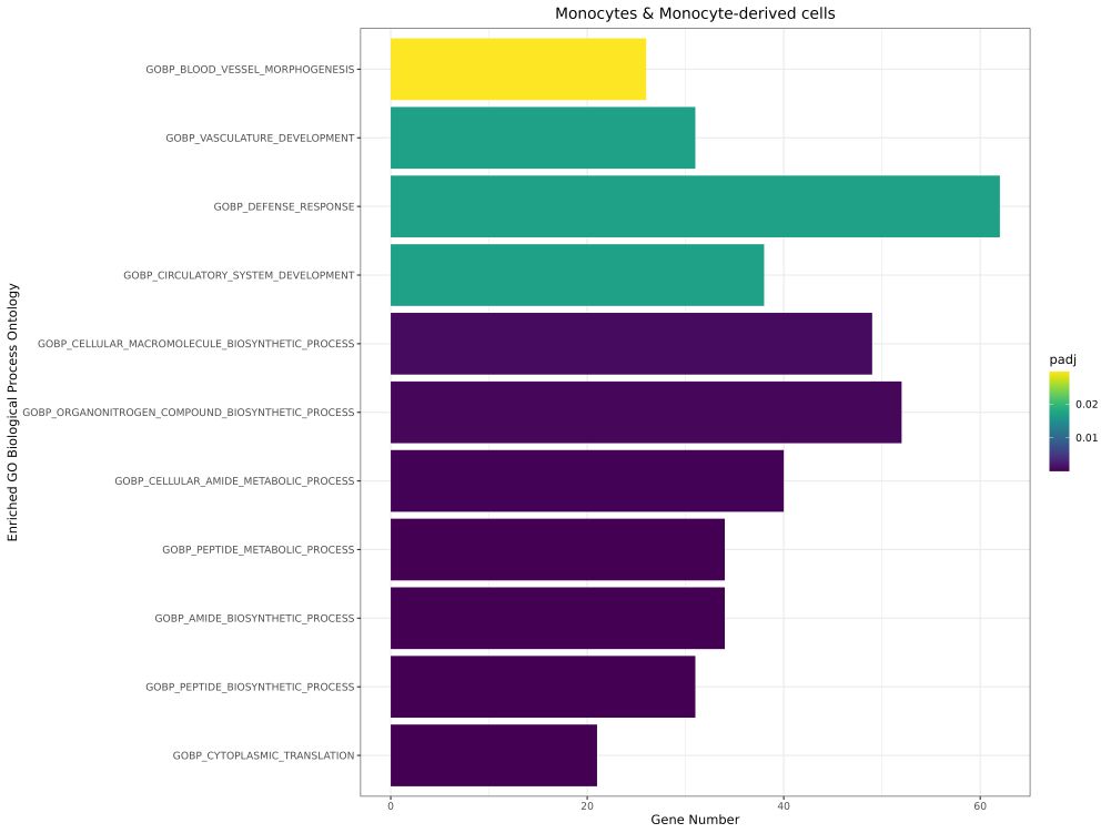dataset detail 10