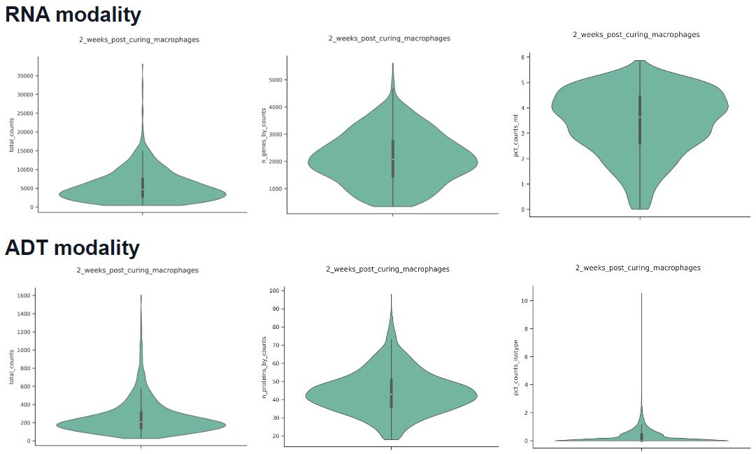 dataset detail 3