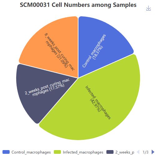 dataset detail 4