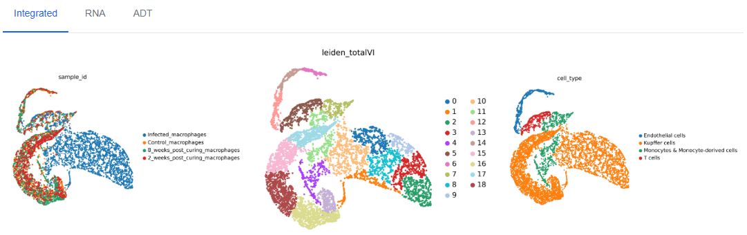 dataset detail 7