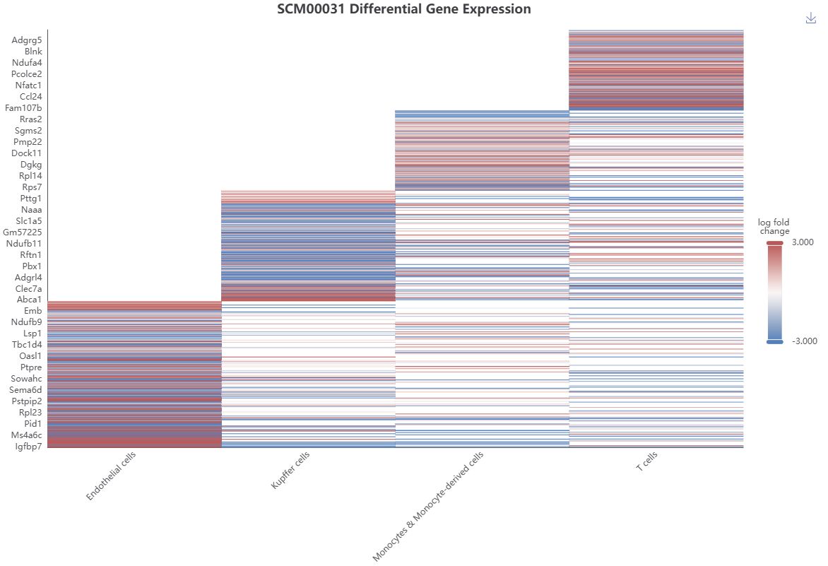 dataset detail 9