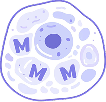 scMultiModalMap logo