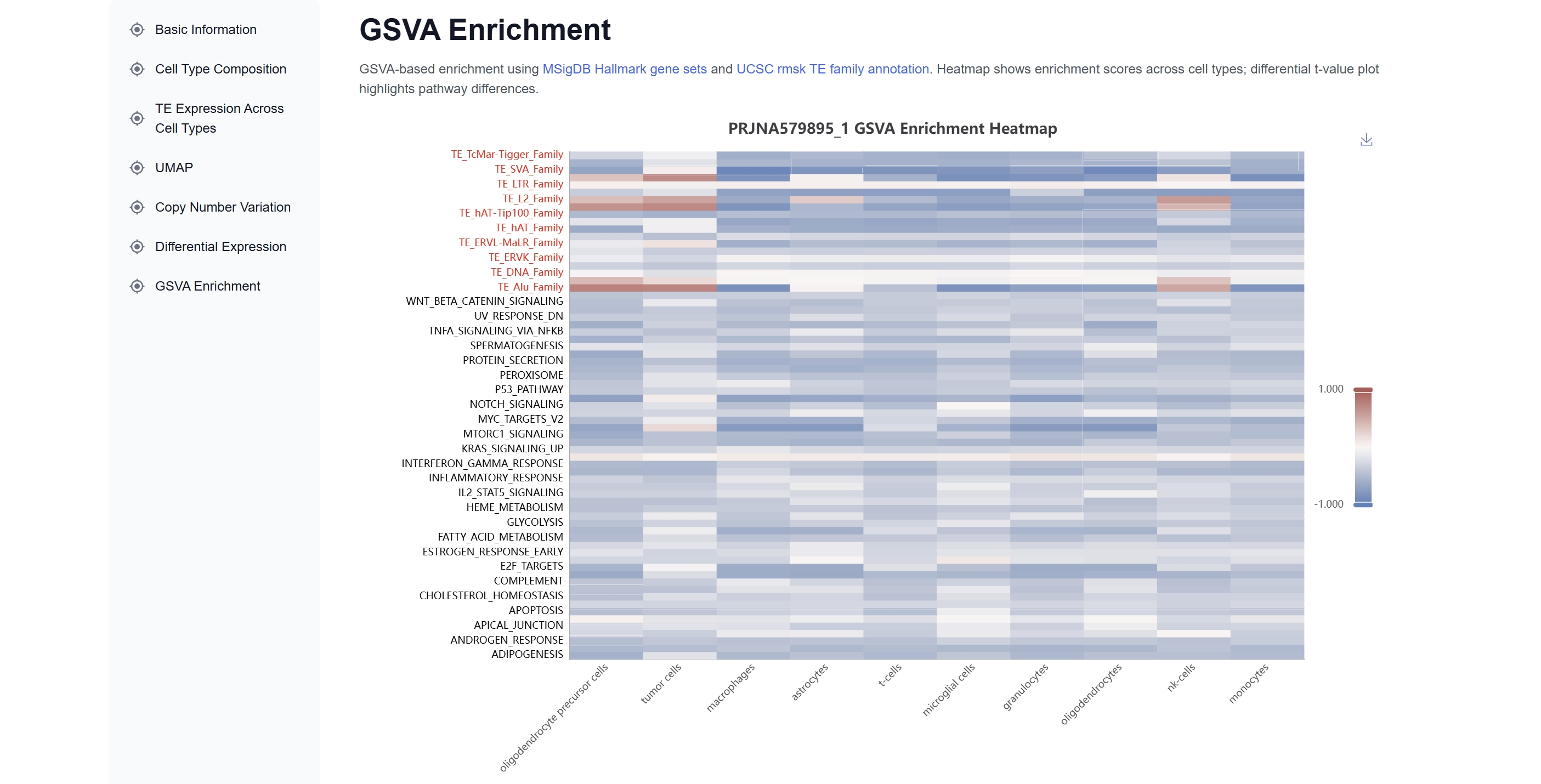 TE transcriptome analysis results 2