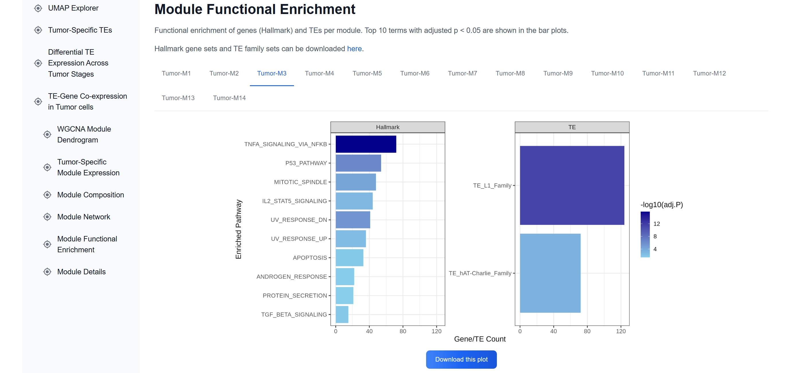 assess functional enrichment