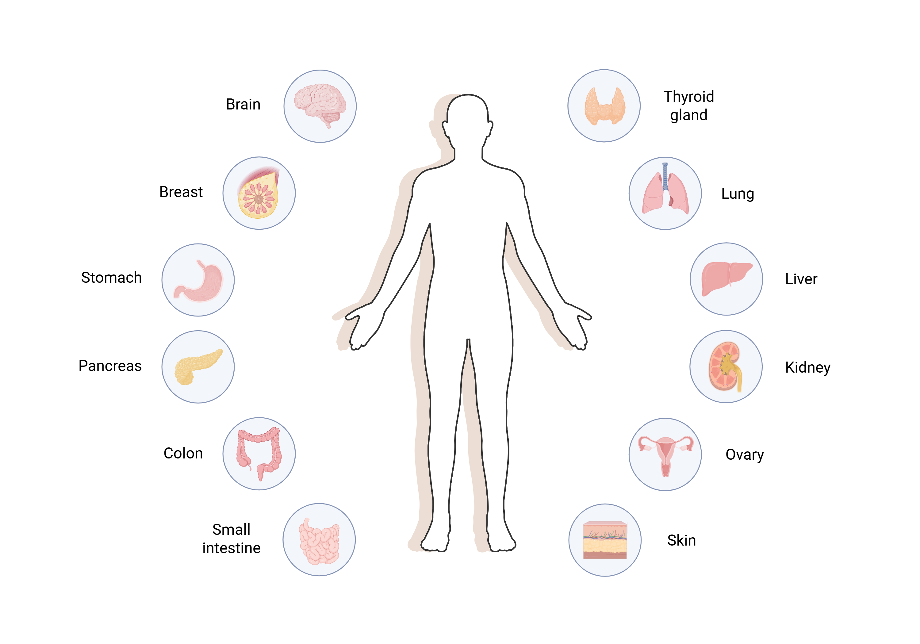 Pan-cancer landscape