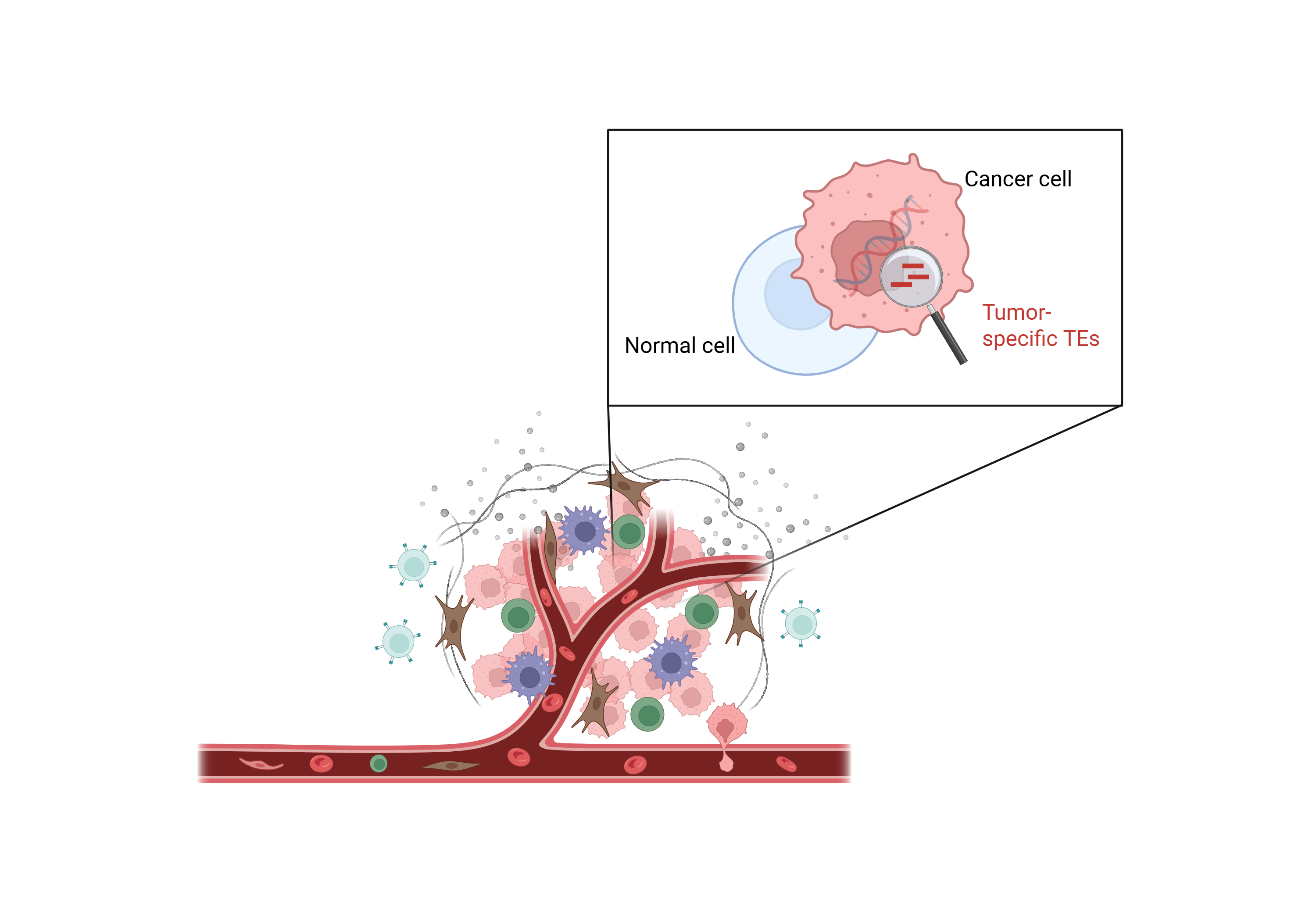 Single-cell resolution in TME