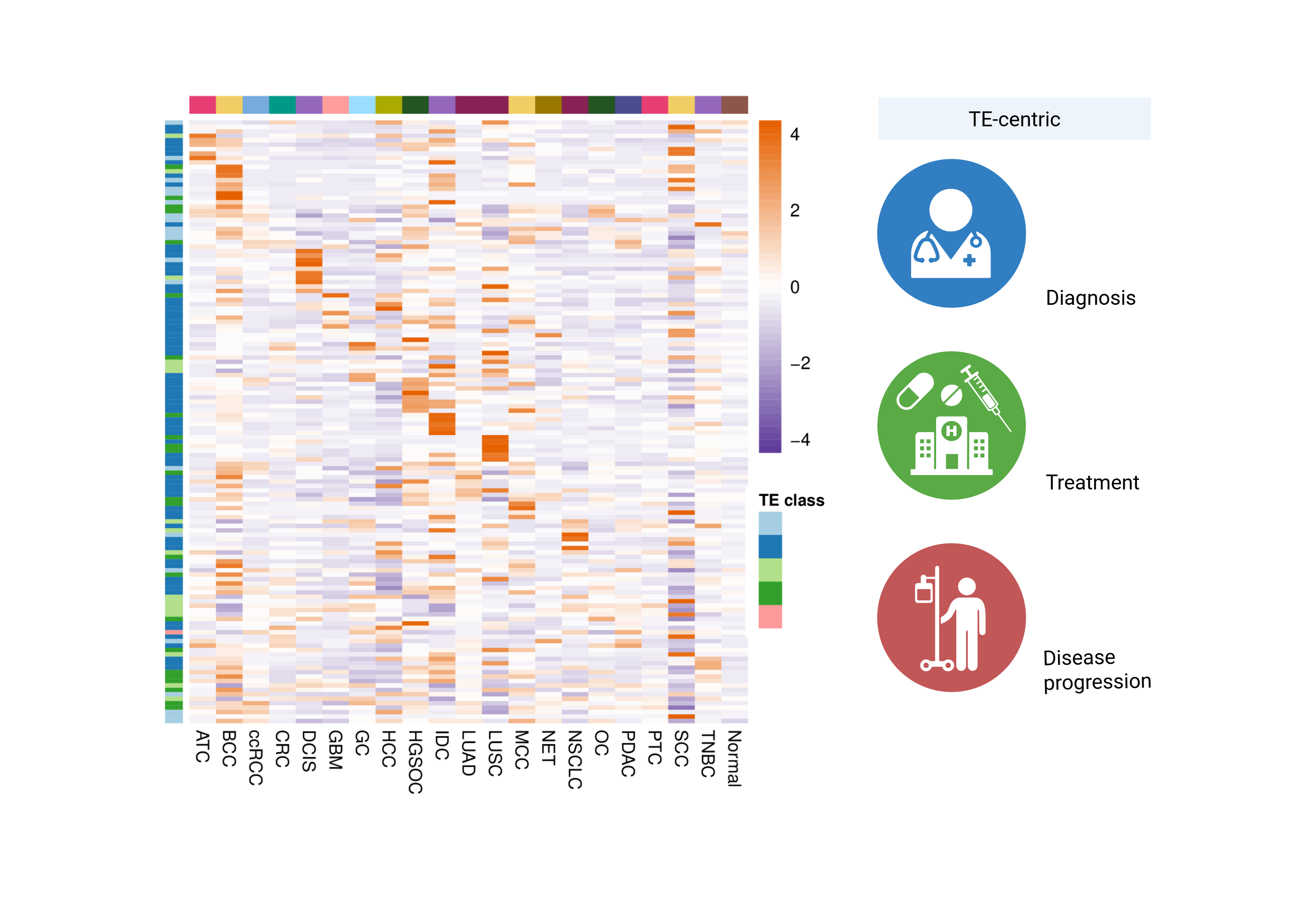 Tumor-specific TE candidates for clinical translation