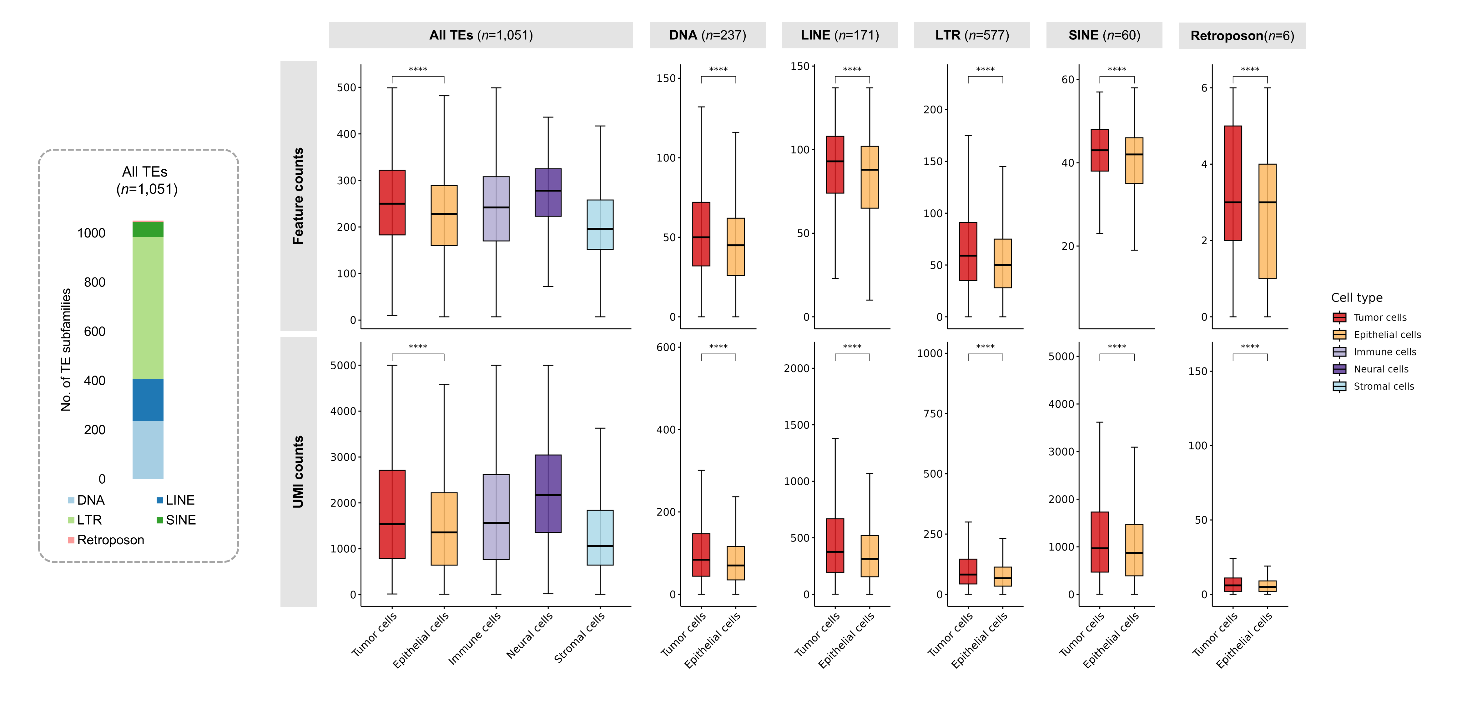 characterization of TE expression