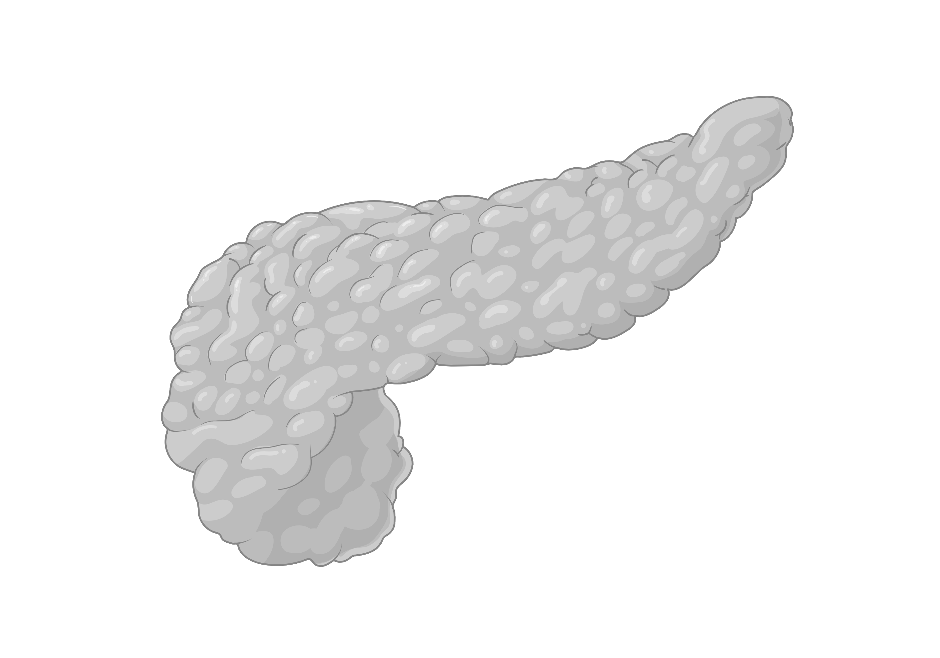Pancreas