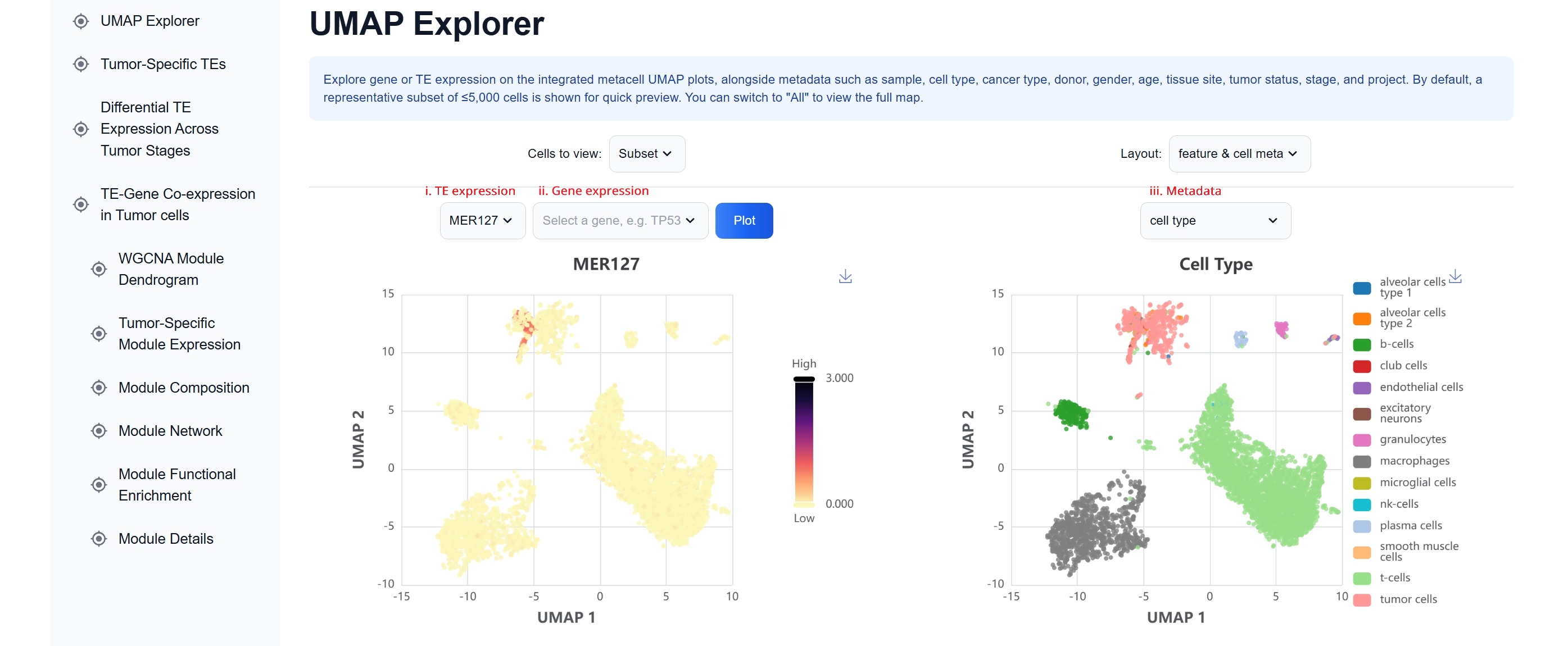 tissue map UMAP explorer