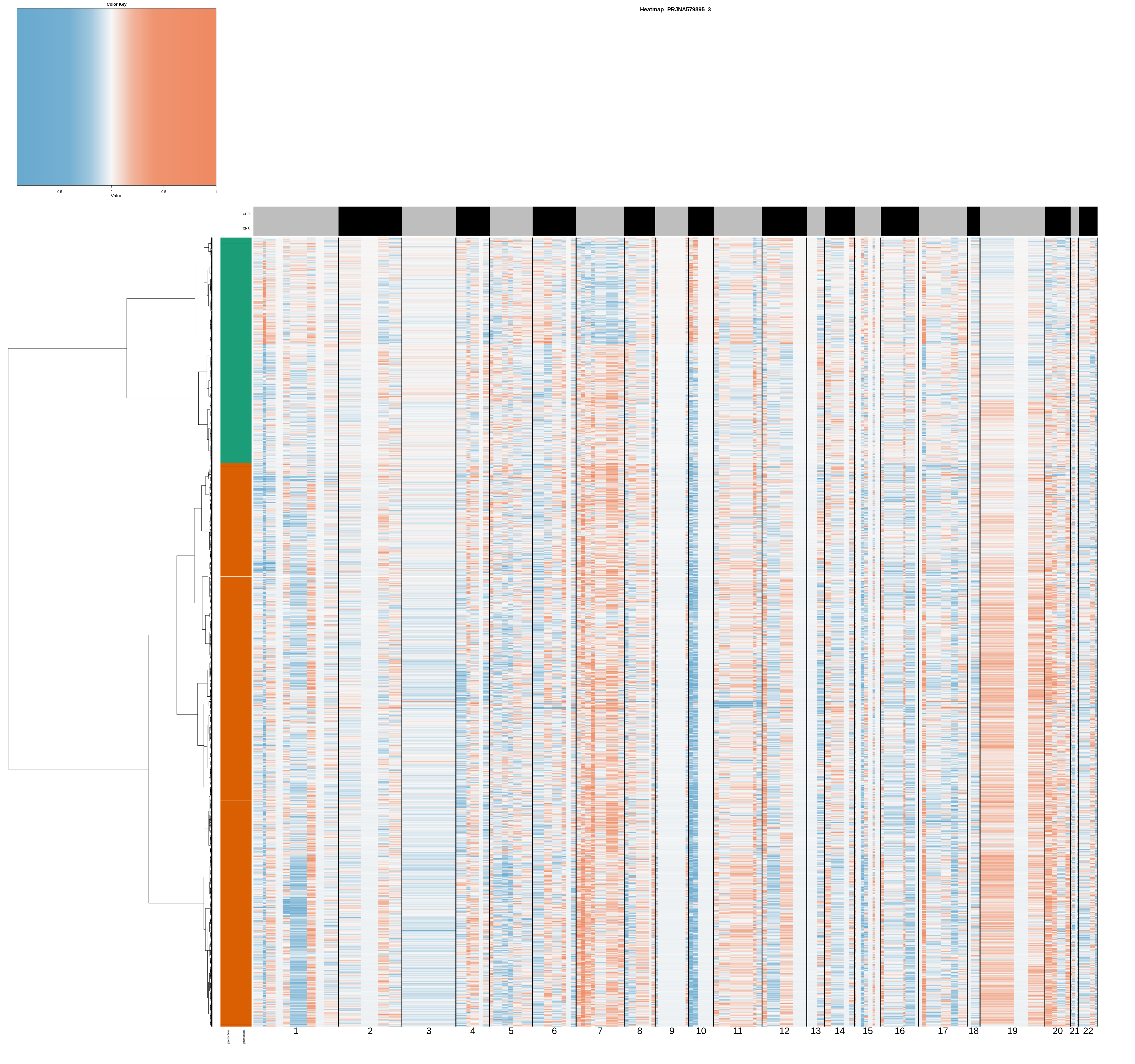tumor cell CNV pattern