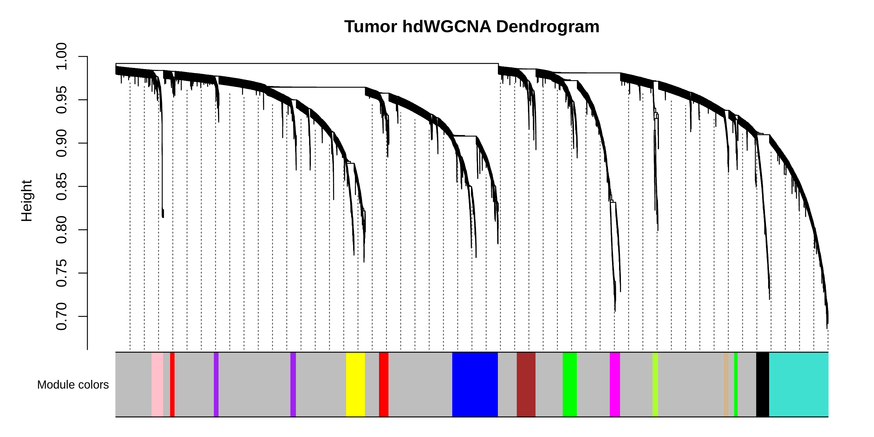 brain dendrogram
