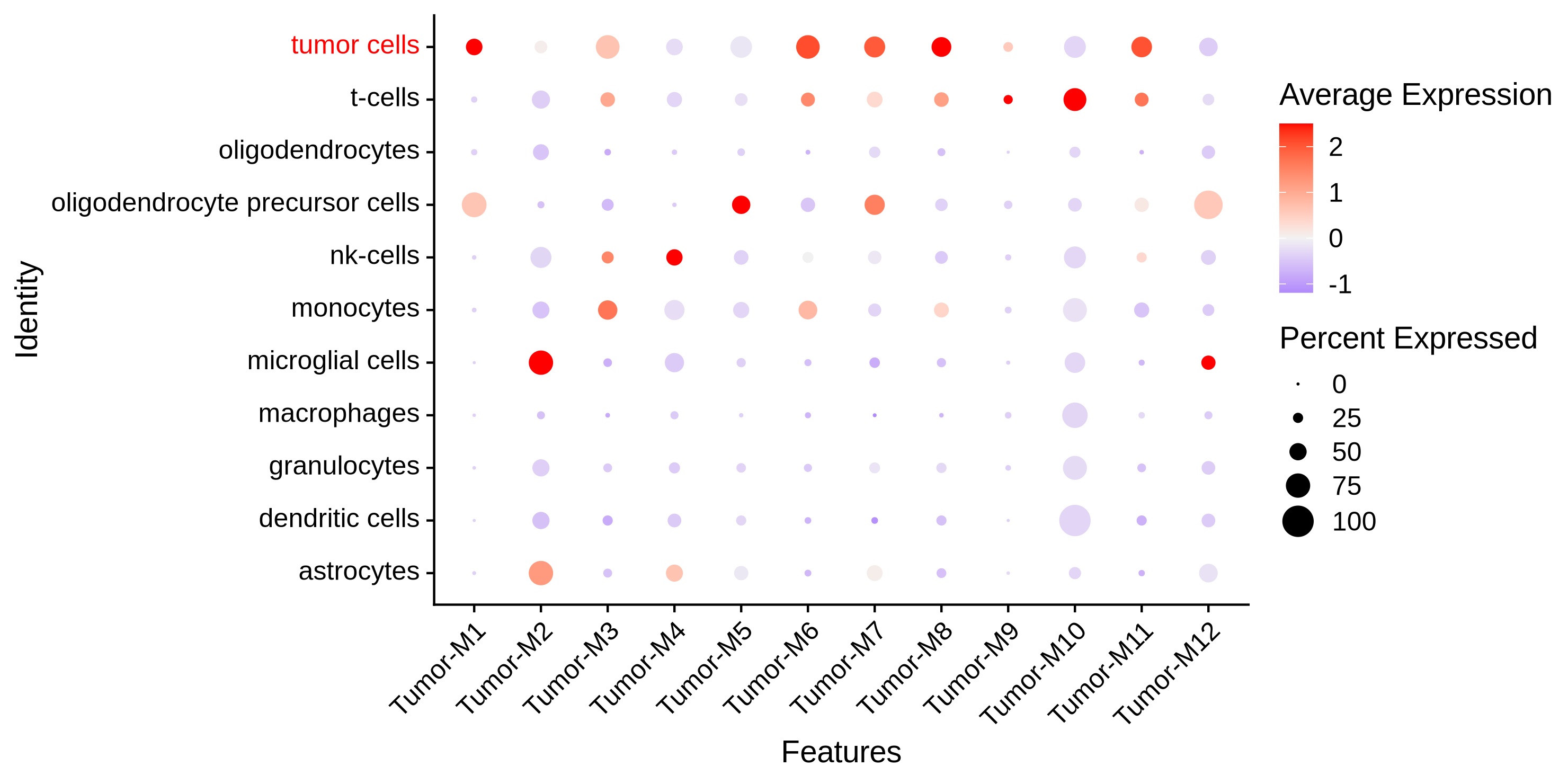 brain module dotplot