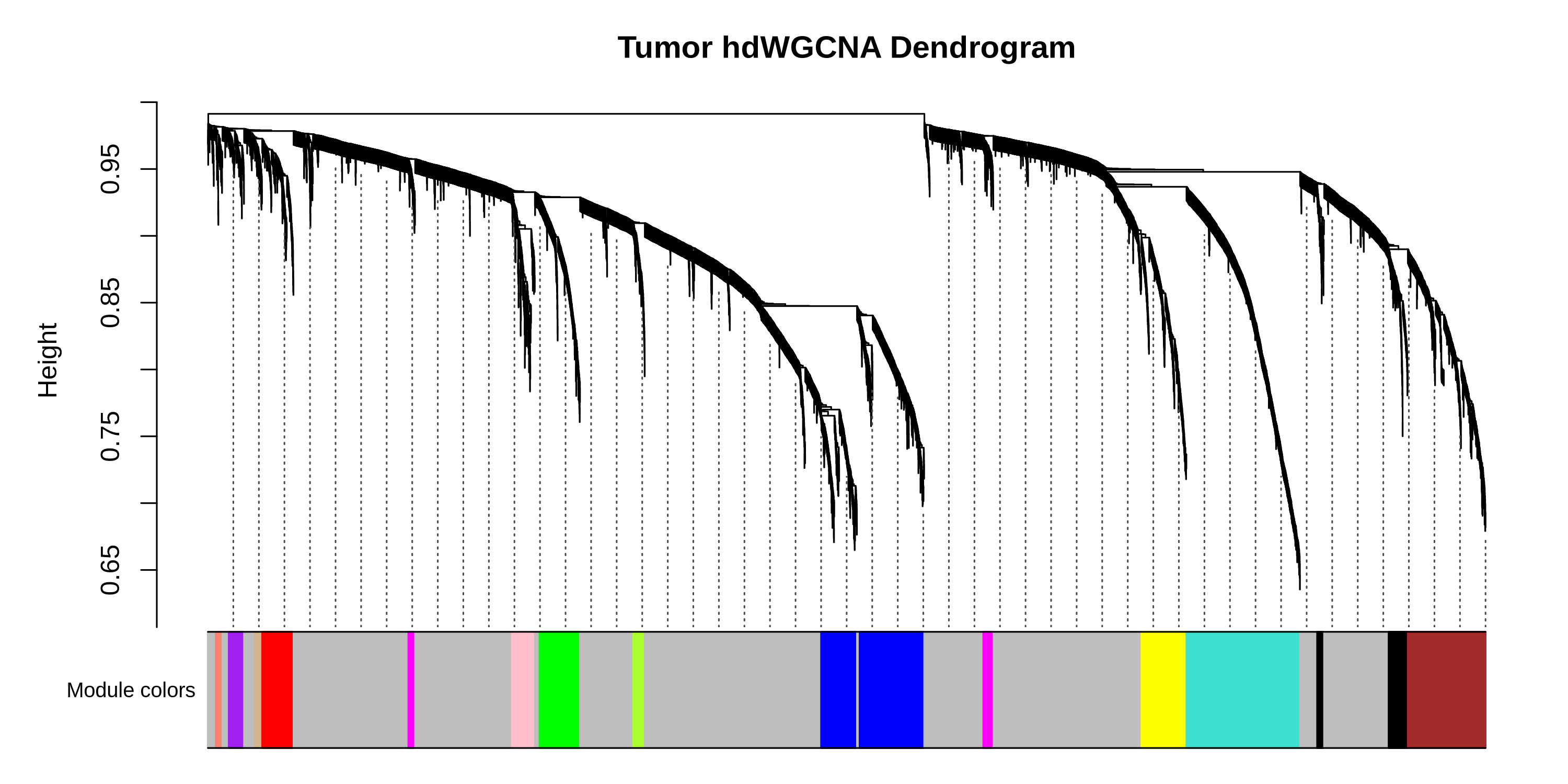 colon dendrogram
