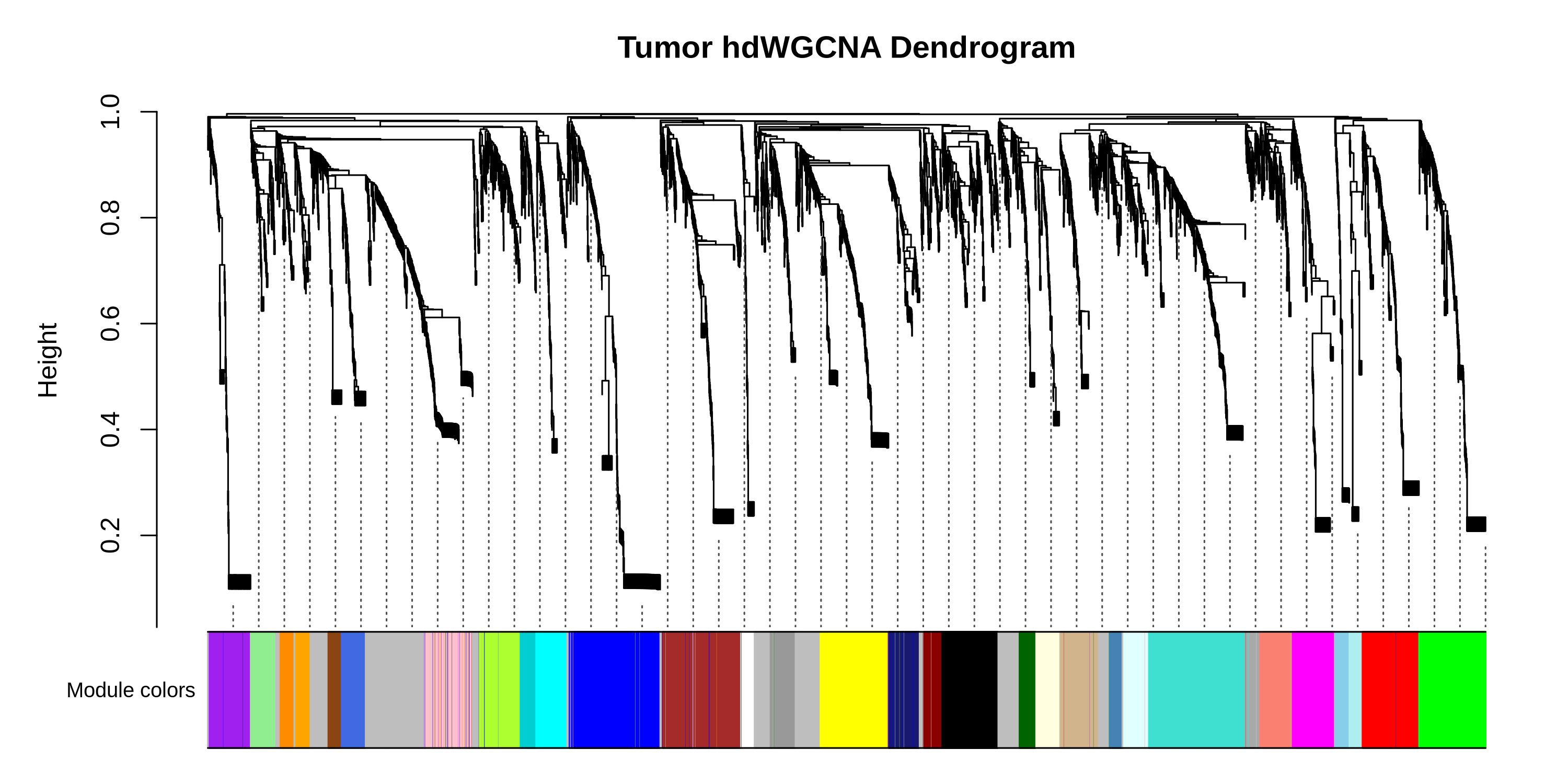 liver dendrogram