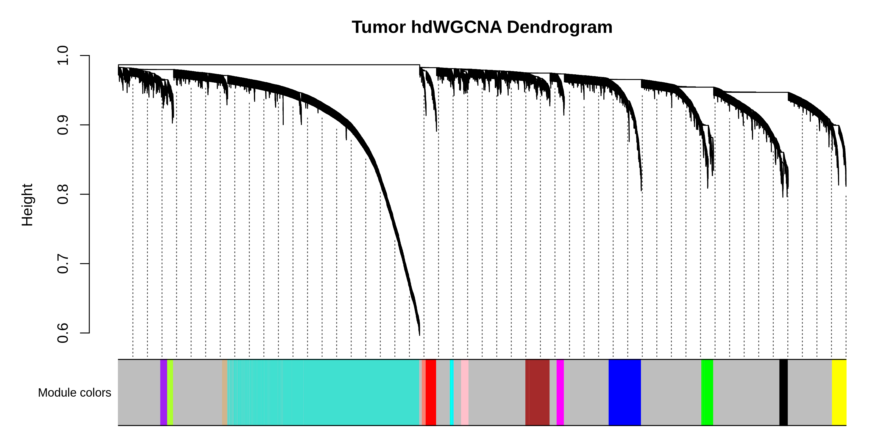 lung dendrogram