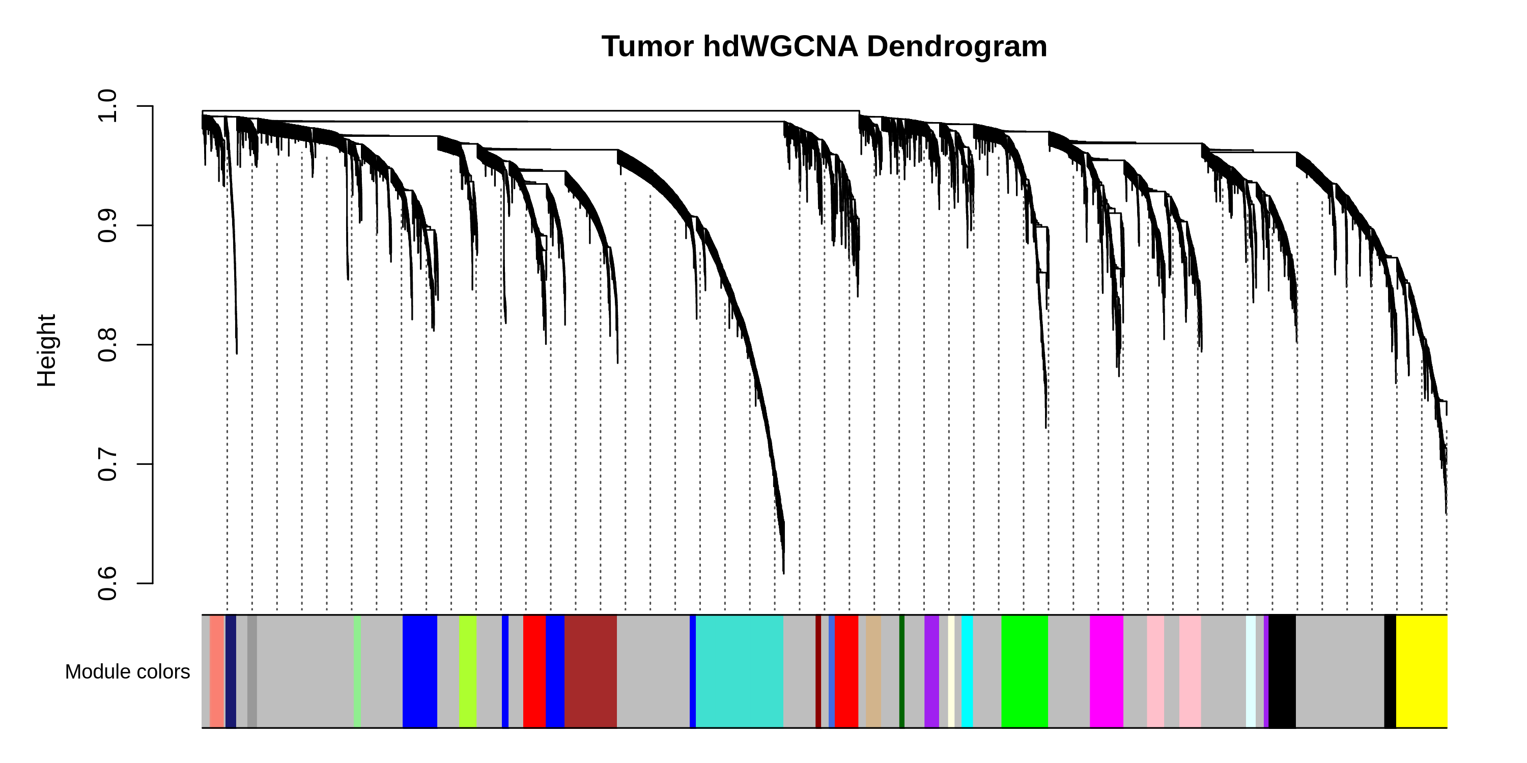 ovary dendrogram