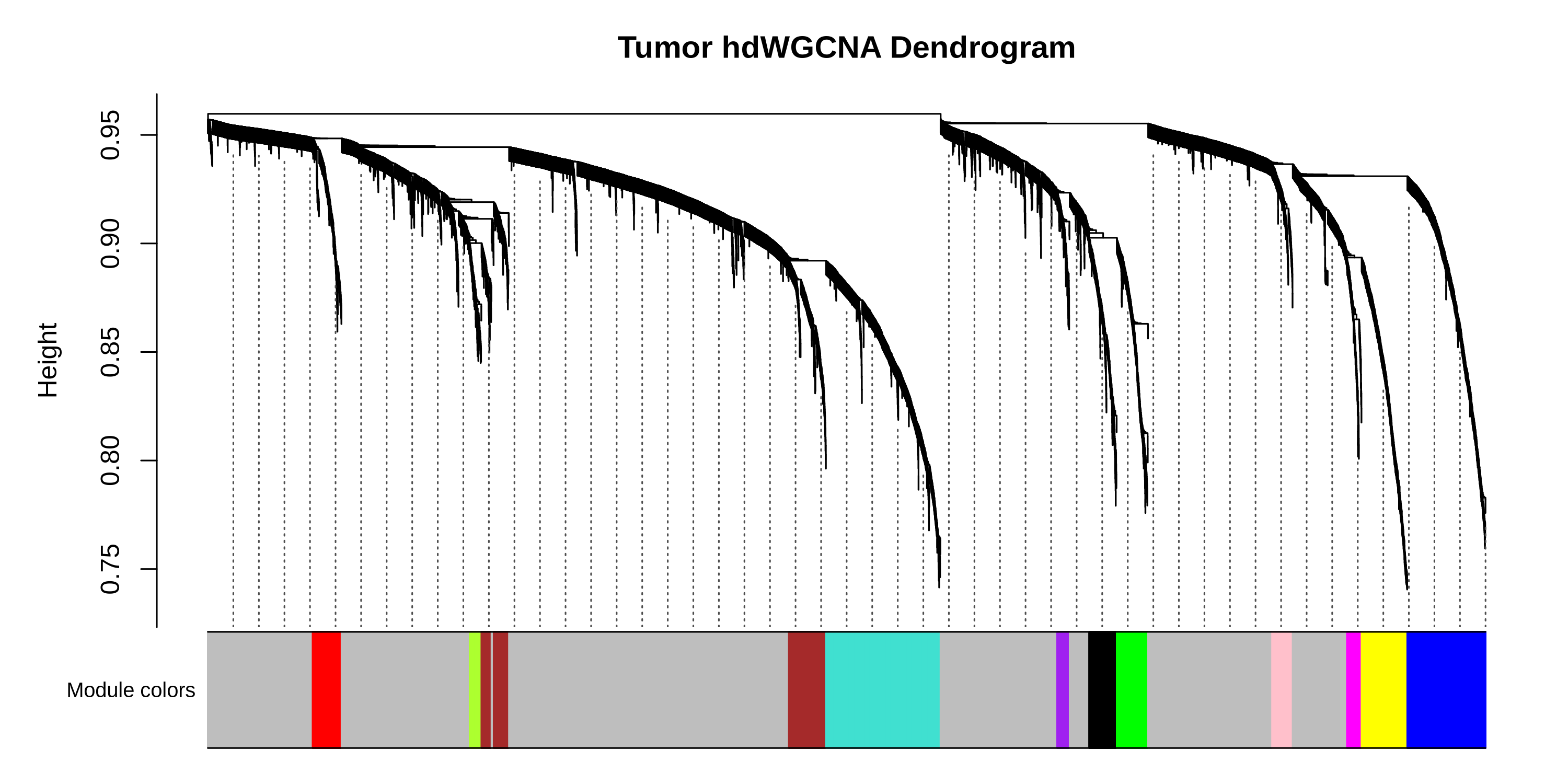pancreas dendrogram