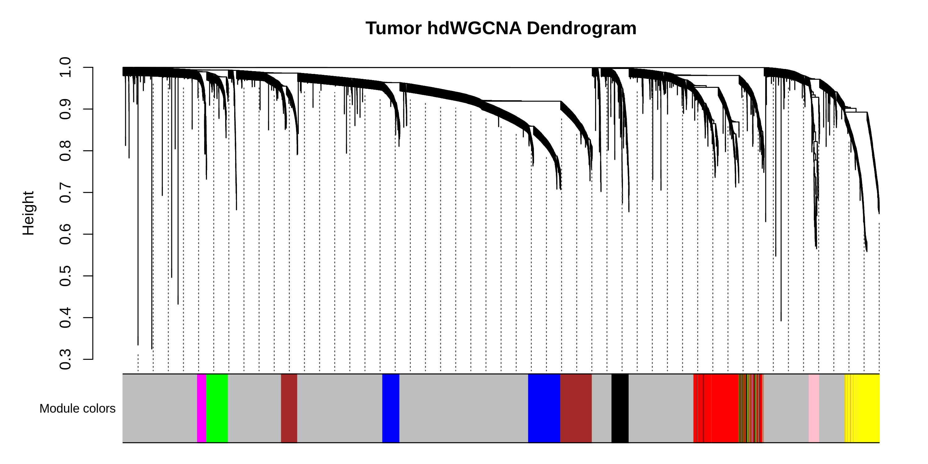 skin dendrogram