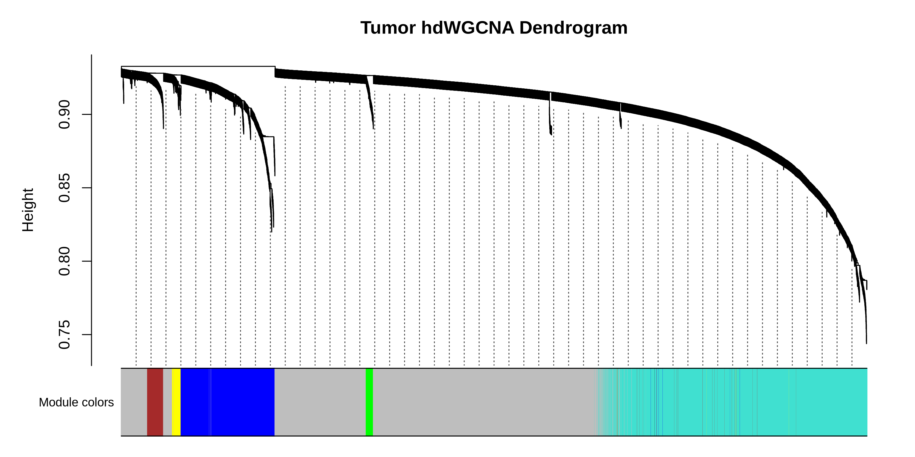 small_intestine dendrogram