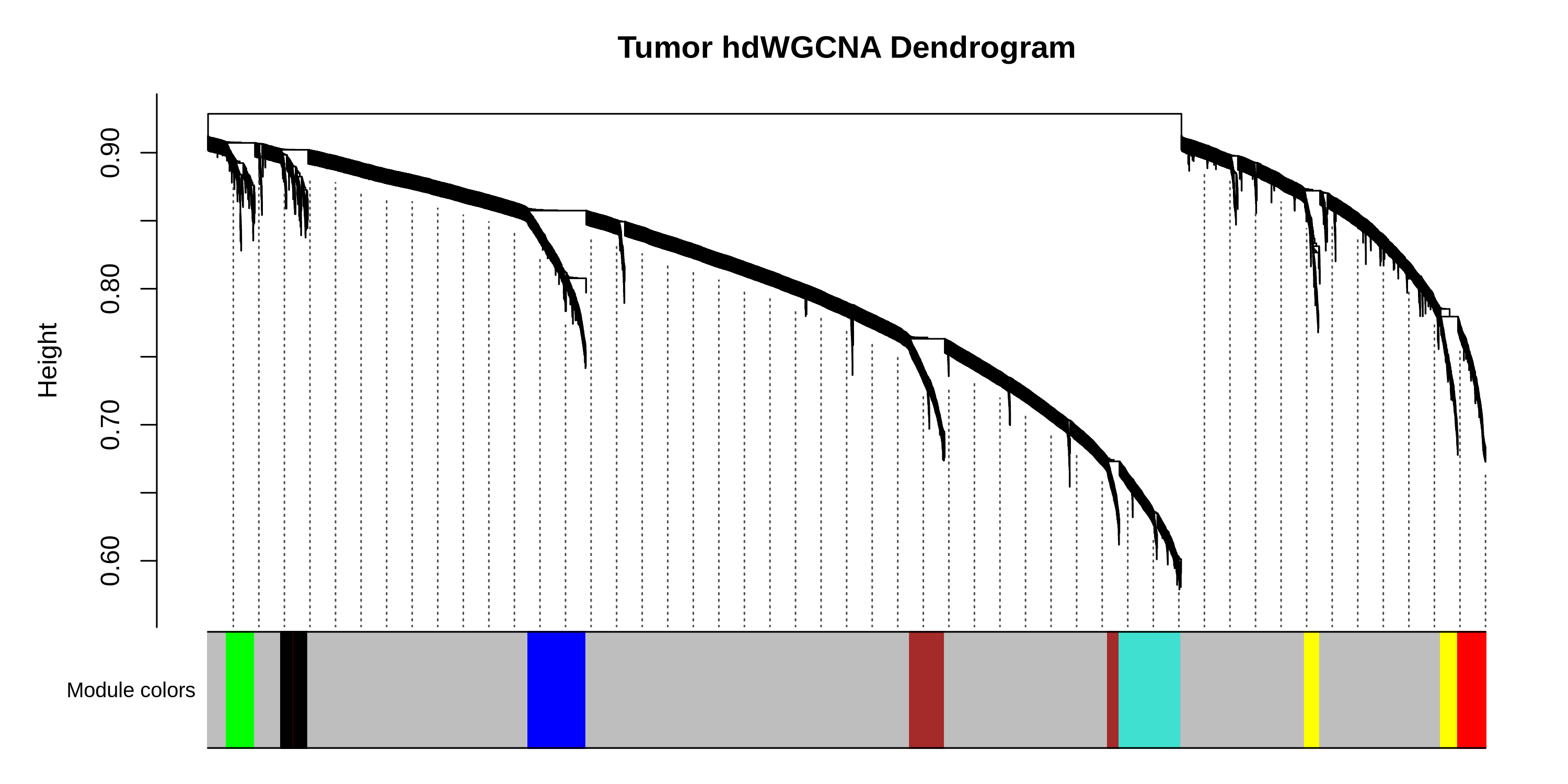 stomach dendrogram