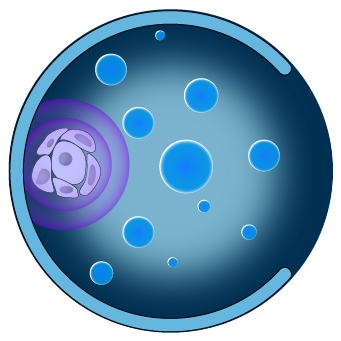 Cancer Single-cell Expression Map