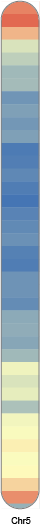 chr5