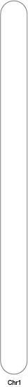 chr1