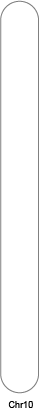 chr10