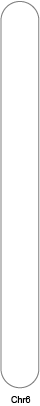 chr6