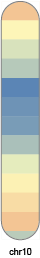 chr10