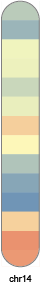 chr14