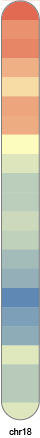 chr18