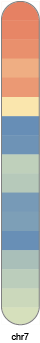 chr7